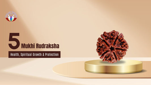 5 Mukhi Rudraksha Benefit