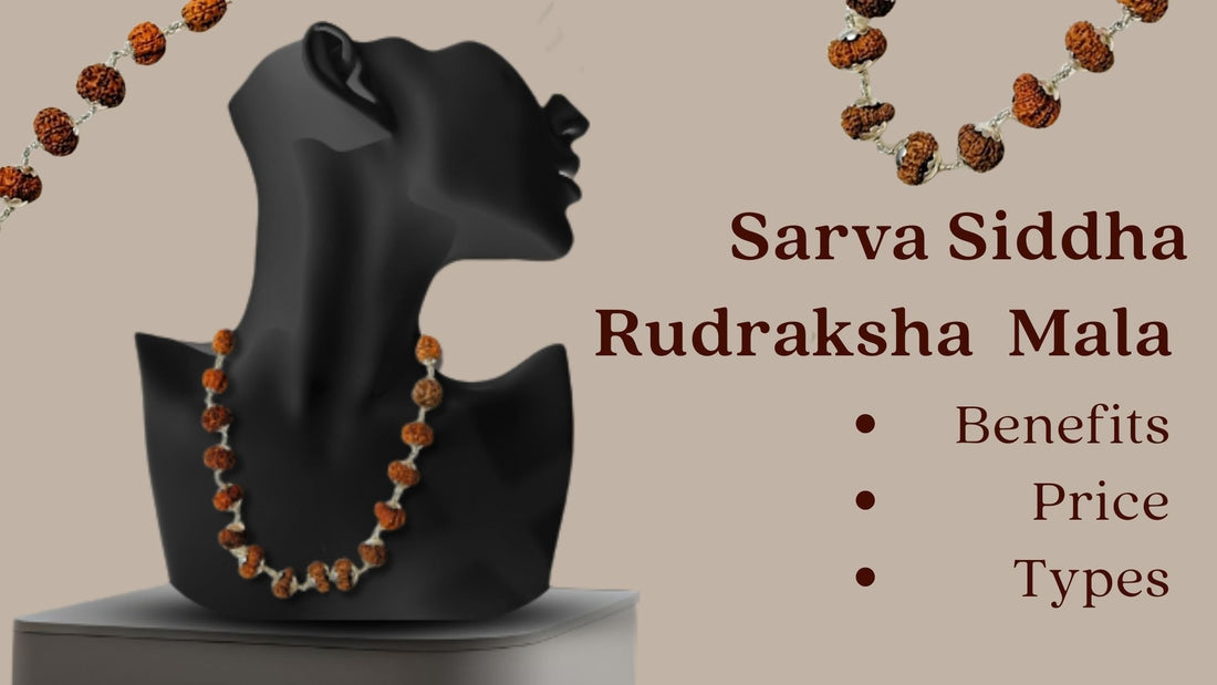 Buy Sarva Siddha Rudraksha Mala Online