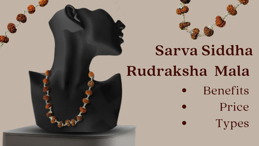 Buy Sarva Siddha Rudraksha Mala Online