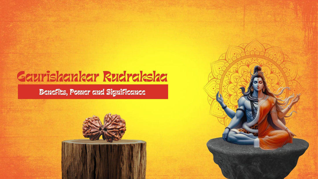 Buy Gauri Shankar Rudraksha Beads Online