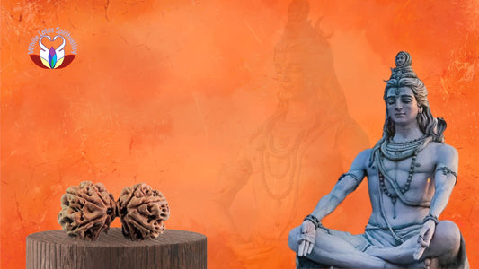 Importance of Rudraksha on Mahashivratri