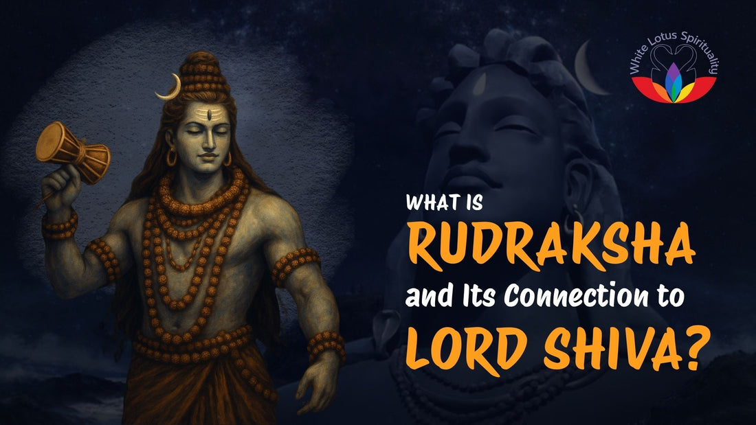 What is Rudraksha and Its Connection to Lord Shiva?