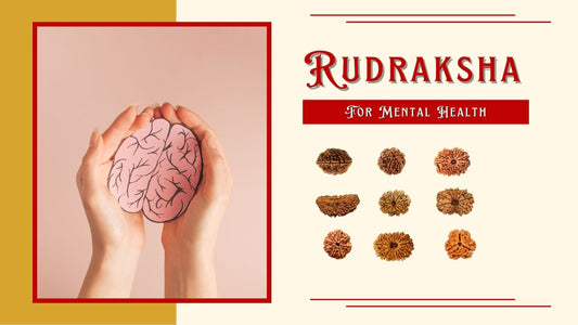 Rudraksha for Mental Health