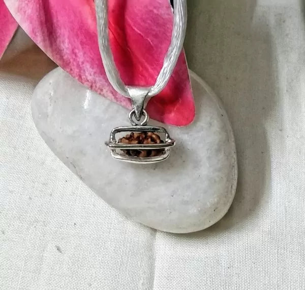 1 Mukhi Rudraksha Indonesia