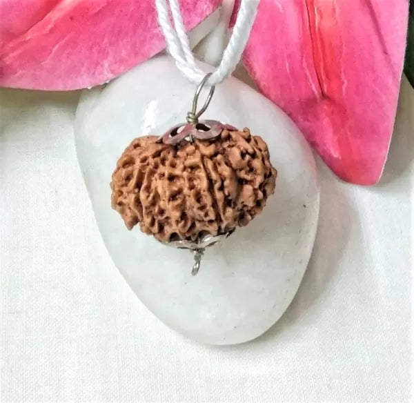 10 Mukhi Rudraksha Beads Nepal