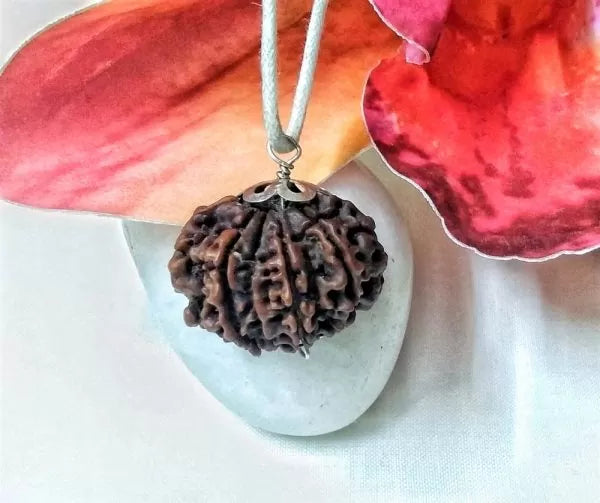 10 Mukhi Rudraksha Beads Nepal