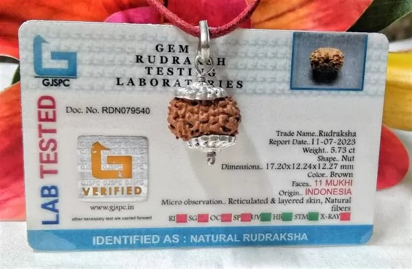Rudraksha Indonesia Beads Online