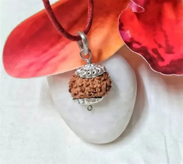 11 Mukhi Rudraksha Indonesia Beads