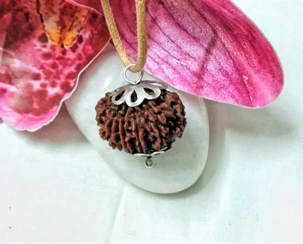 Buy 12 Mukhi Nepali Rudraksha Online