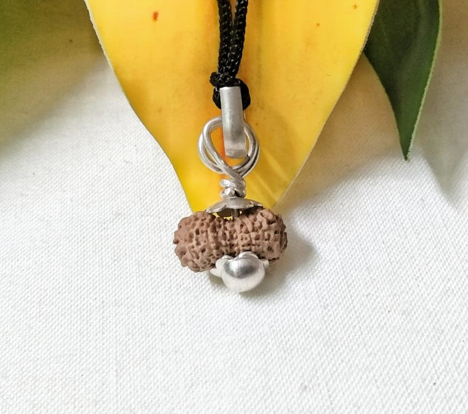 17 Mukhi Rudraksha Indonesia 12 mm