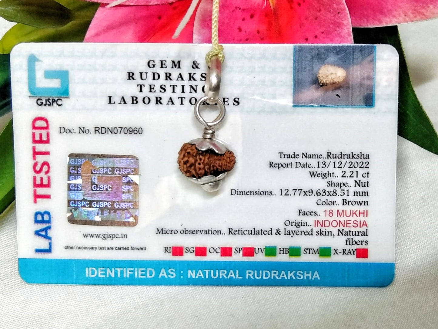 18 Mukhi Rudraksha Indonesia 12 mm