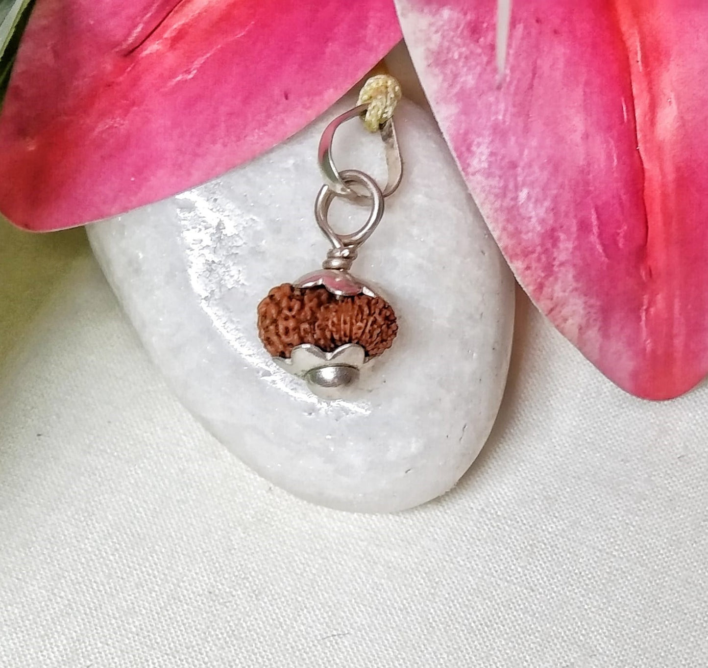 18 Mukhi Rudraksha Indonesia 12 mm