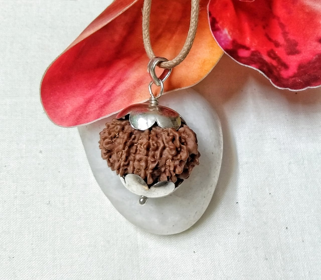 12 Mukhi Rudraksha Nepal 24 mm