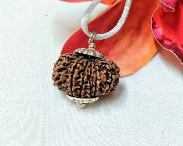 Buy 13 Mukhi Rudraksha Beads Nepal