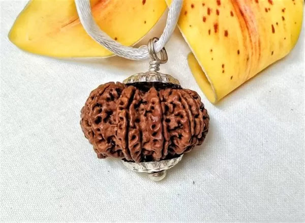 13 Mukhi Rudraksha Nepal