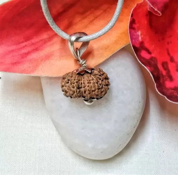 13 Mukhi Rudraksha Indonesia Online