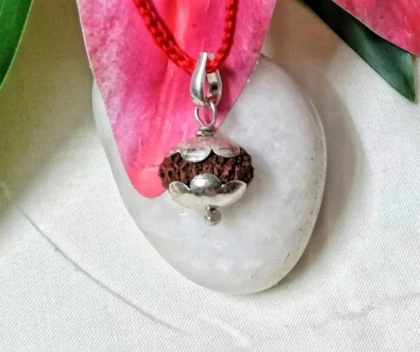 Buy 14 Mukhi Indonesia Rudraksha Beads