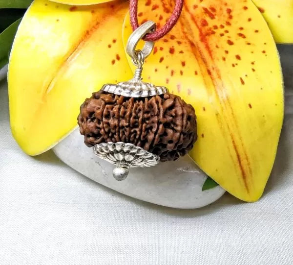 Buy 14 Mukhi Nepali Rudraksha Beads Online