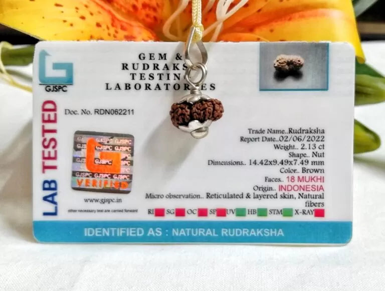 18 Mukhi Rudraksha Indonesia 14 mm