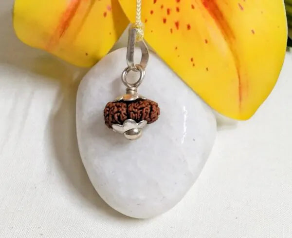 18 Mukhi Rudraksha Indonesia 14 mm