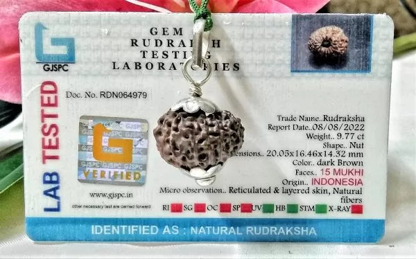 Buy 15 Mukhi Rudraksha Beads Online