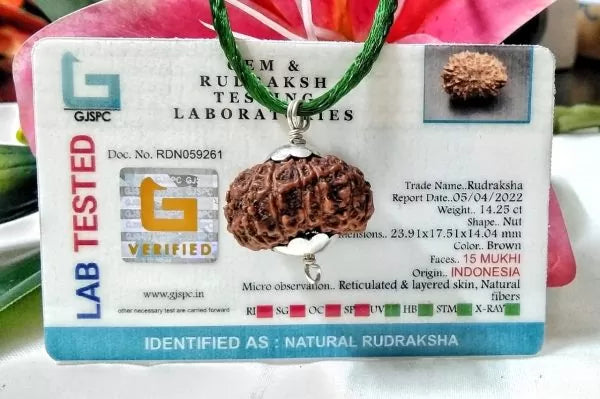 Original 15 Mukhi Indonesian Rudraksha Beads
