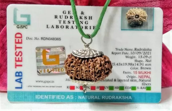 Lab Certified 15 Mukh Nepali Rudraksha Beads Online