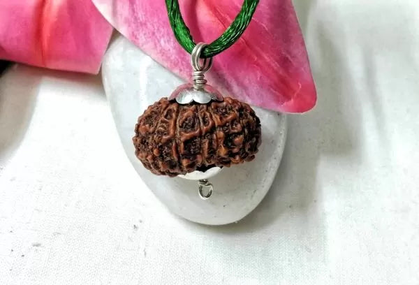 15 Mukhi Indonesian Rudraksha Beads