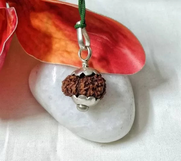 15 Mukhi Rudraksha Beads Indonesia