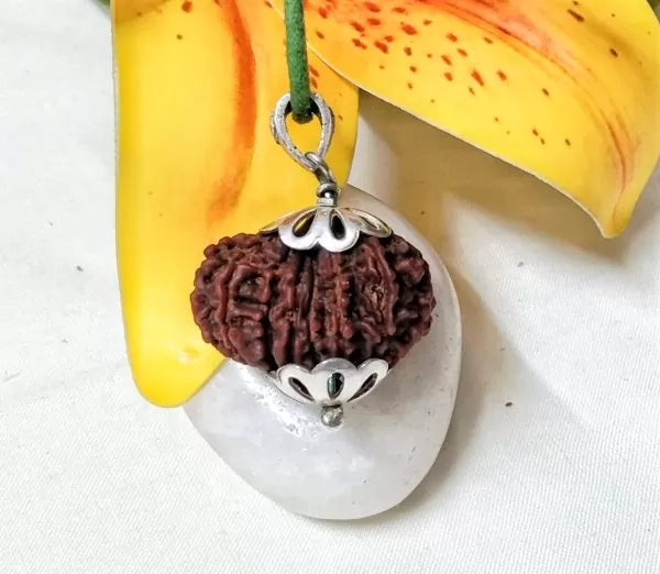 15 Mukhi Rudraksha Nepal Beads