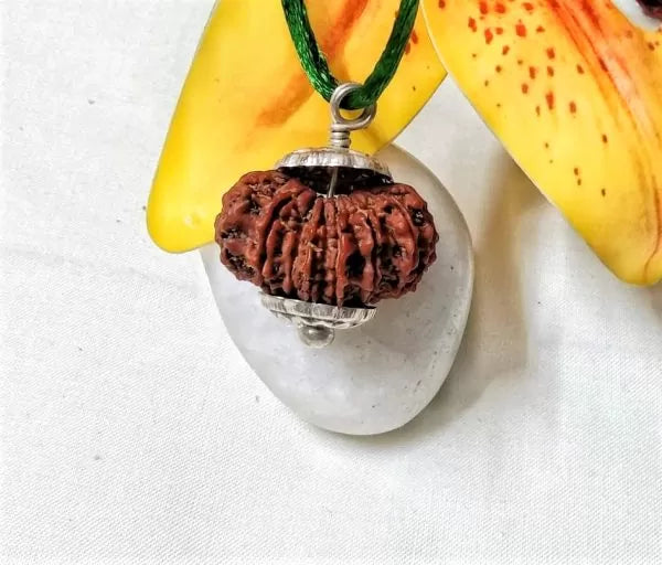 15 Mukhi Rudraksha Beads