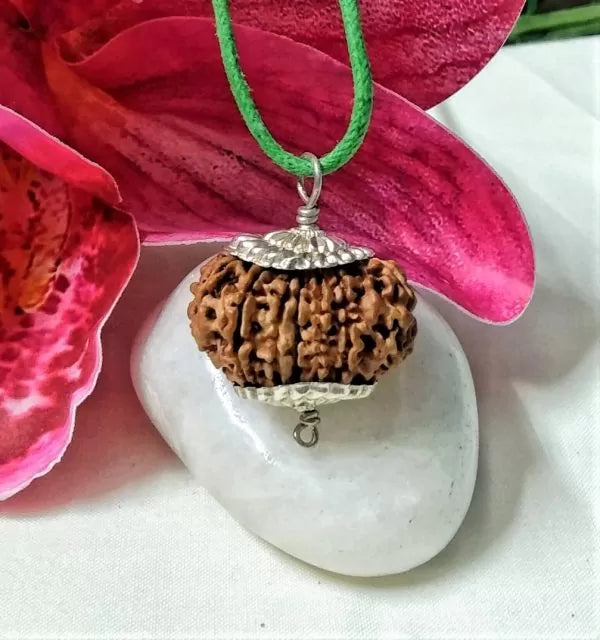 15 Mukhi Rudraksha Beads Nepal