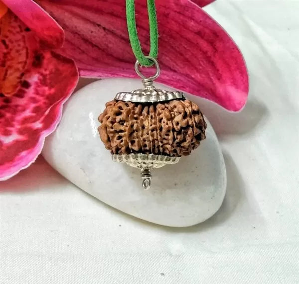 Certified 15 Mukh Nepali Rudraksha Beads Online