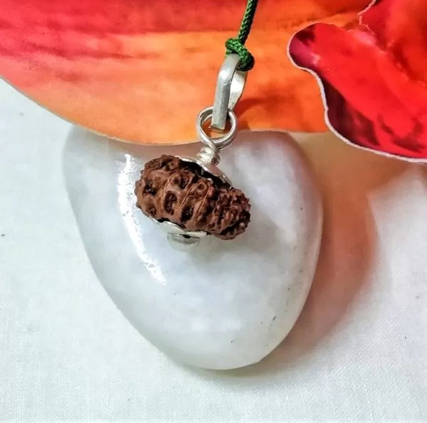 Certified 15 Mukhi Indonesian Rudraksha
