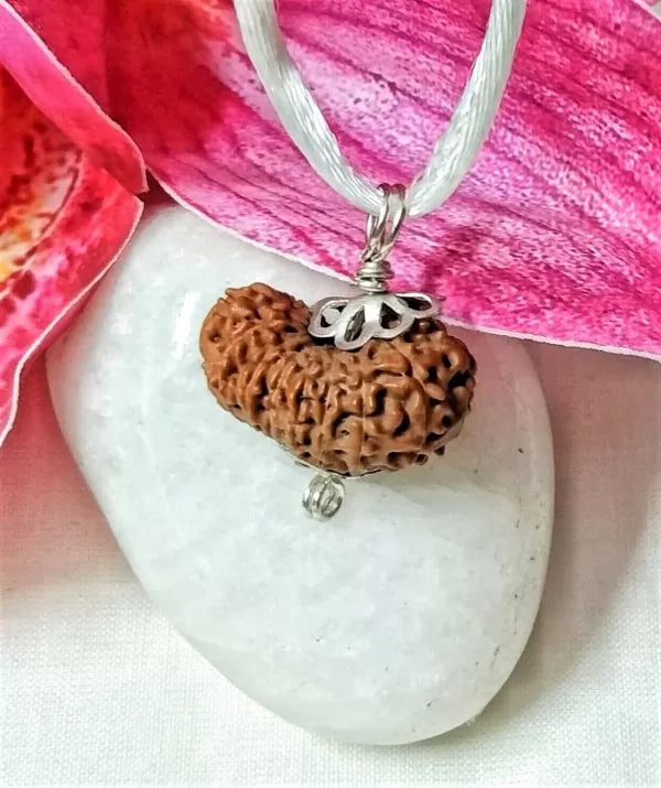 16 mukhi Rudraksha Indonesia 21 mm
