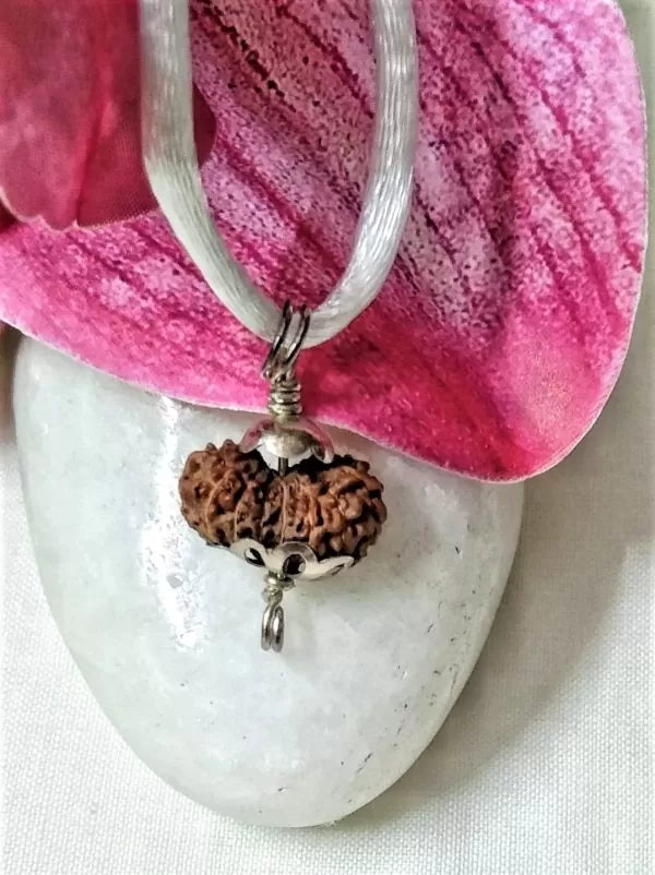 16 Mukhi Rudraksha Indonesia 16 mm