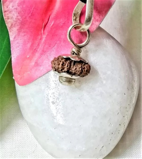 16 Mukhi Rudraksha Indonesia 11 mm