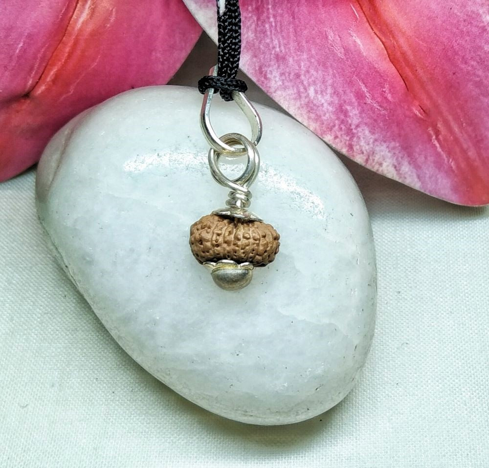 17 Mukhi Rudraksha Indonesia 10 mm