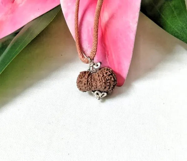 20 Mukhi Rudraksha Indonesia 18 mm