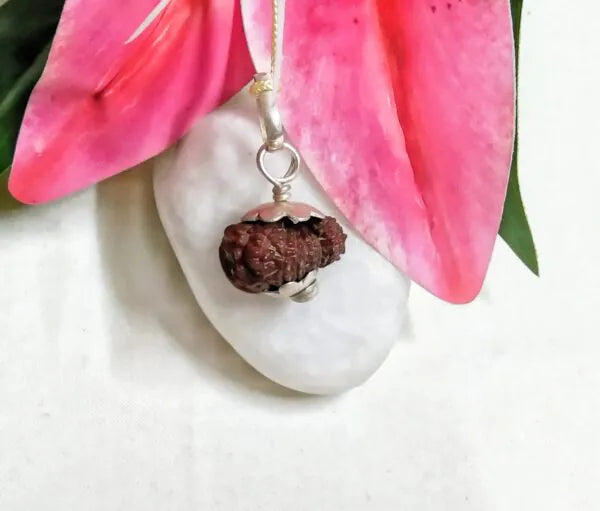 18 Mukhi Rudraksha Indonesia 18 mm