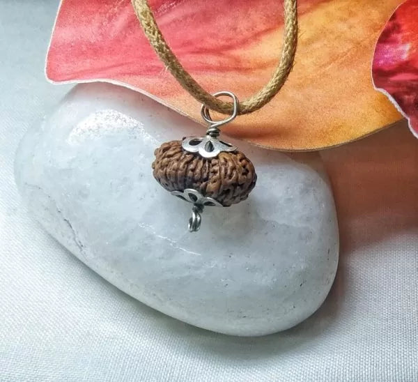 20 Mukhi Rudraksha Indonesia 13 mm
