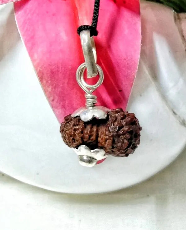 17 Mukhi Rudraksha Indonesia 20 mm