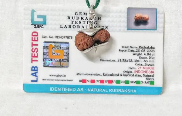 21 Mukhi Indonesia Rudraksha Bead 21 mm