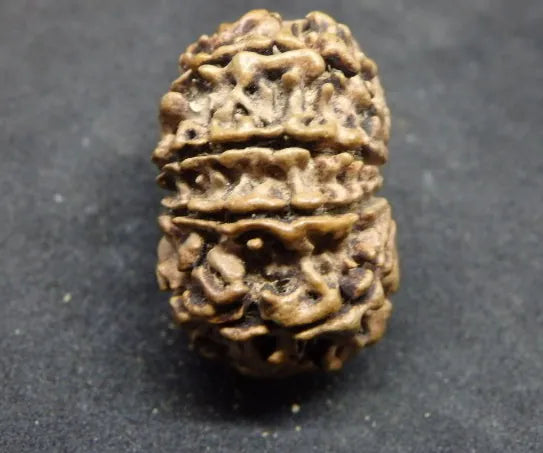 Rudraksha Beads Online