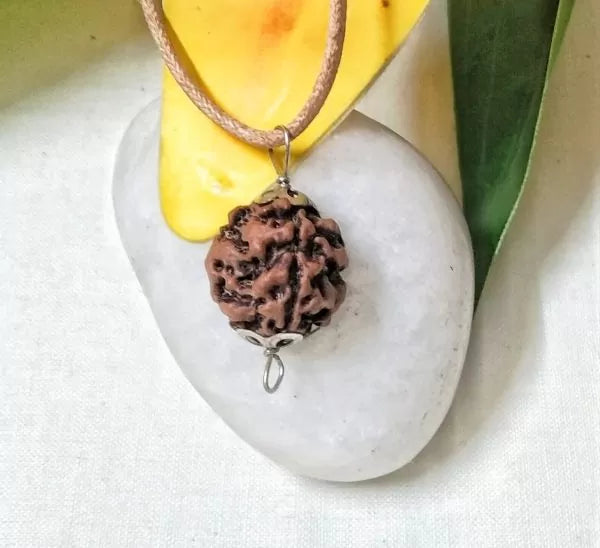 3 Mukhi Rudraksha Nepal