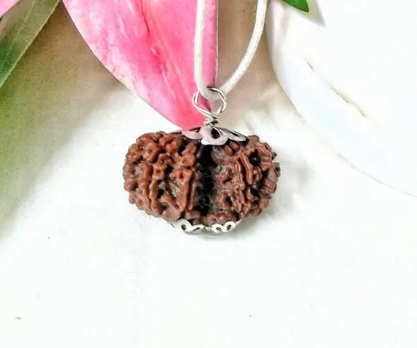 9 Mukhi Gaurishankar Rudraksha Nepal 32 mm