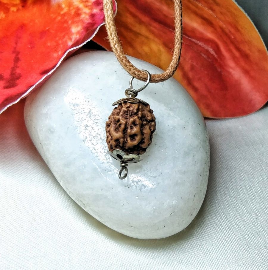 3 Mukhi Rudraksha Indonesia