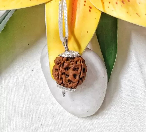 4 Mukhi Rudraksha Beads