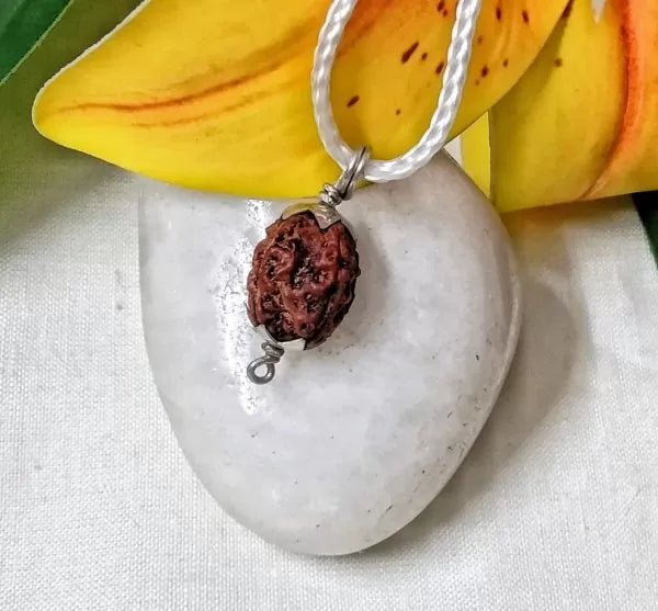 Buy 4 Mukhi Rudraksha Indonesia