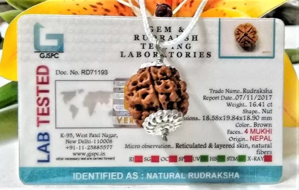 Buy 4 Mukhi Rudraksha Beads